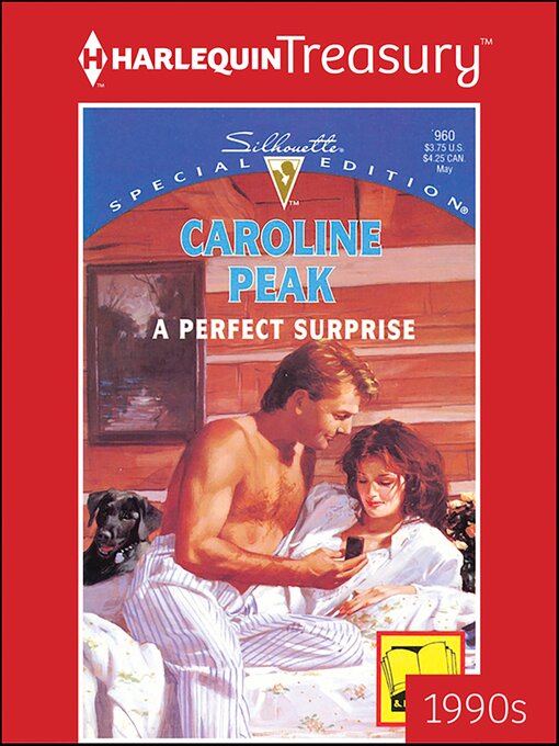 Cover image for A Perfect Surprise